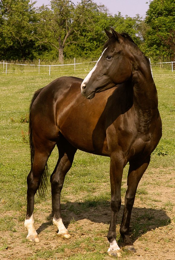 r3v041