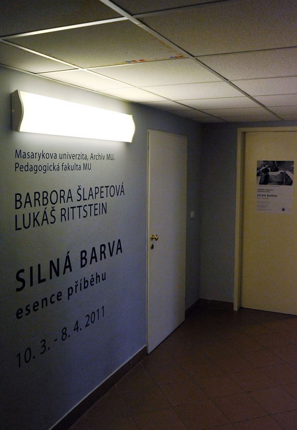 silna_barva001